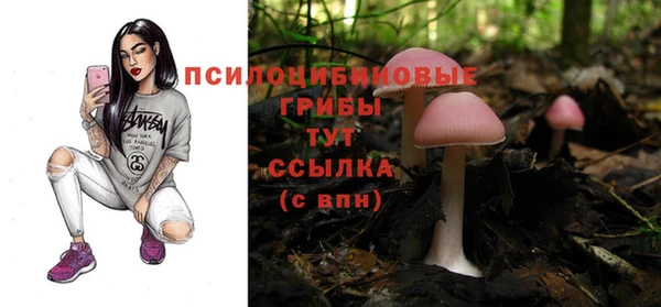 молекула духа Алексеевка