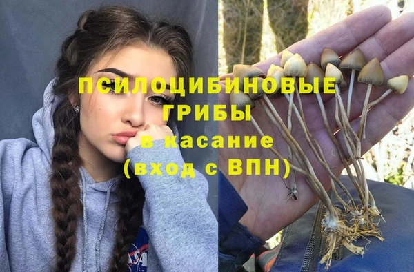 молекула духа Алексеевка