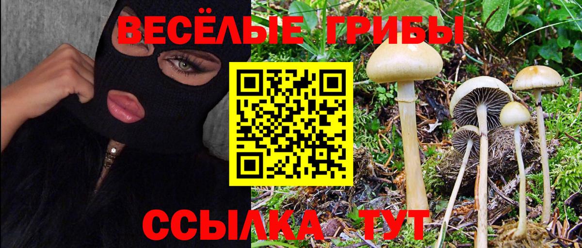 Нижнеудинск  Псилоцибиновые грибы Psilocybine cubensis  Вход с VPN 