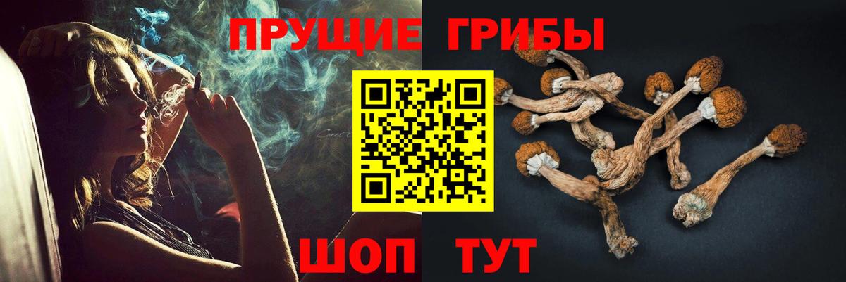 Псилоцибиновые грибы мухоморы Нижнеудинск